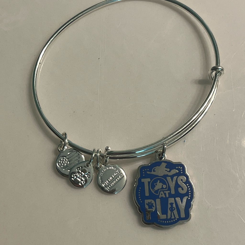 Alex And Ani Disney Toy Story Bracelet 35$